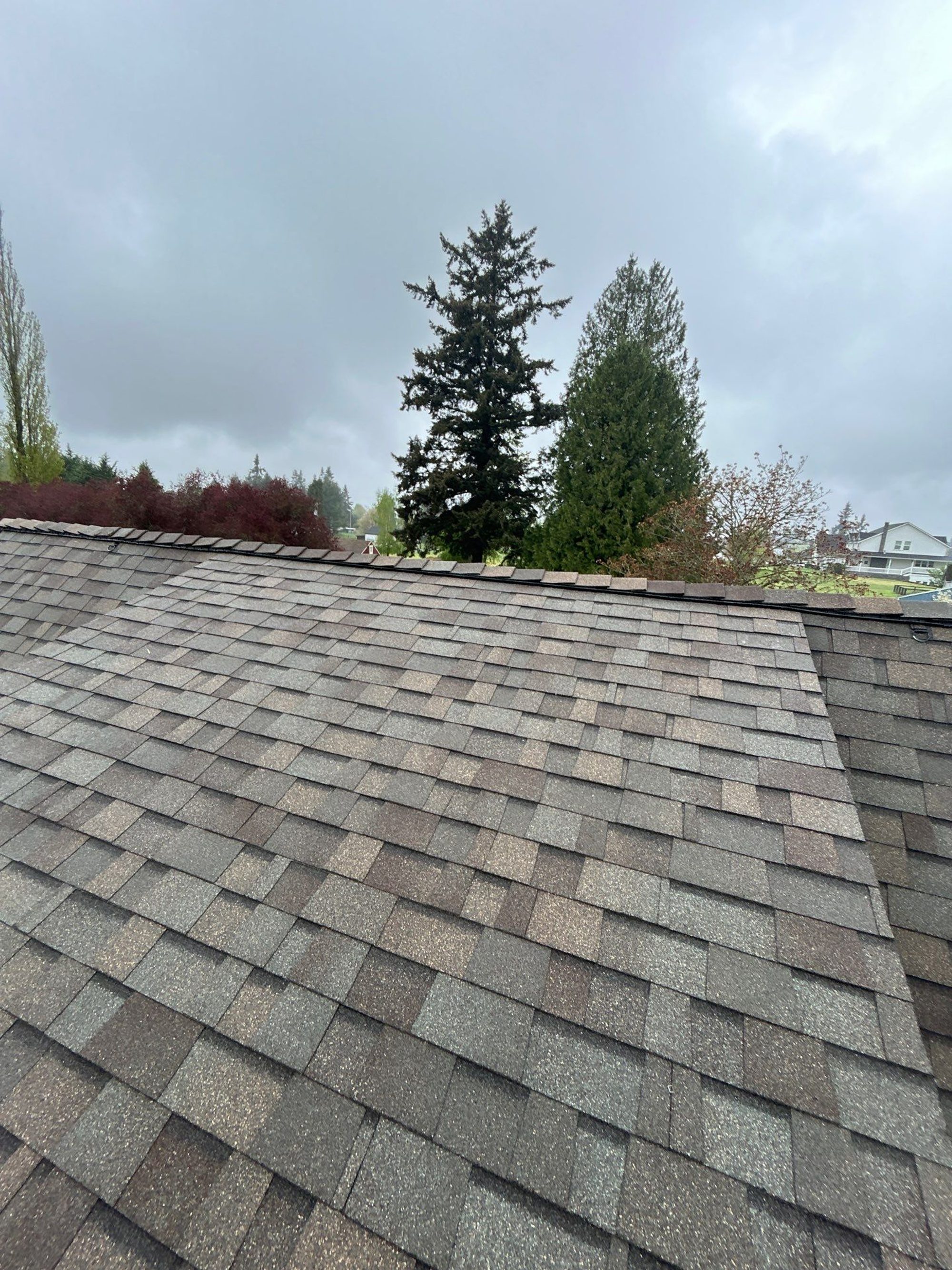 Close texture of the new Natural Wood asphalt shingles across the steep roof slope