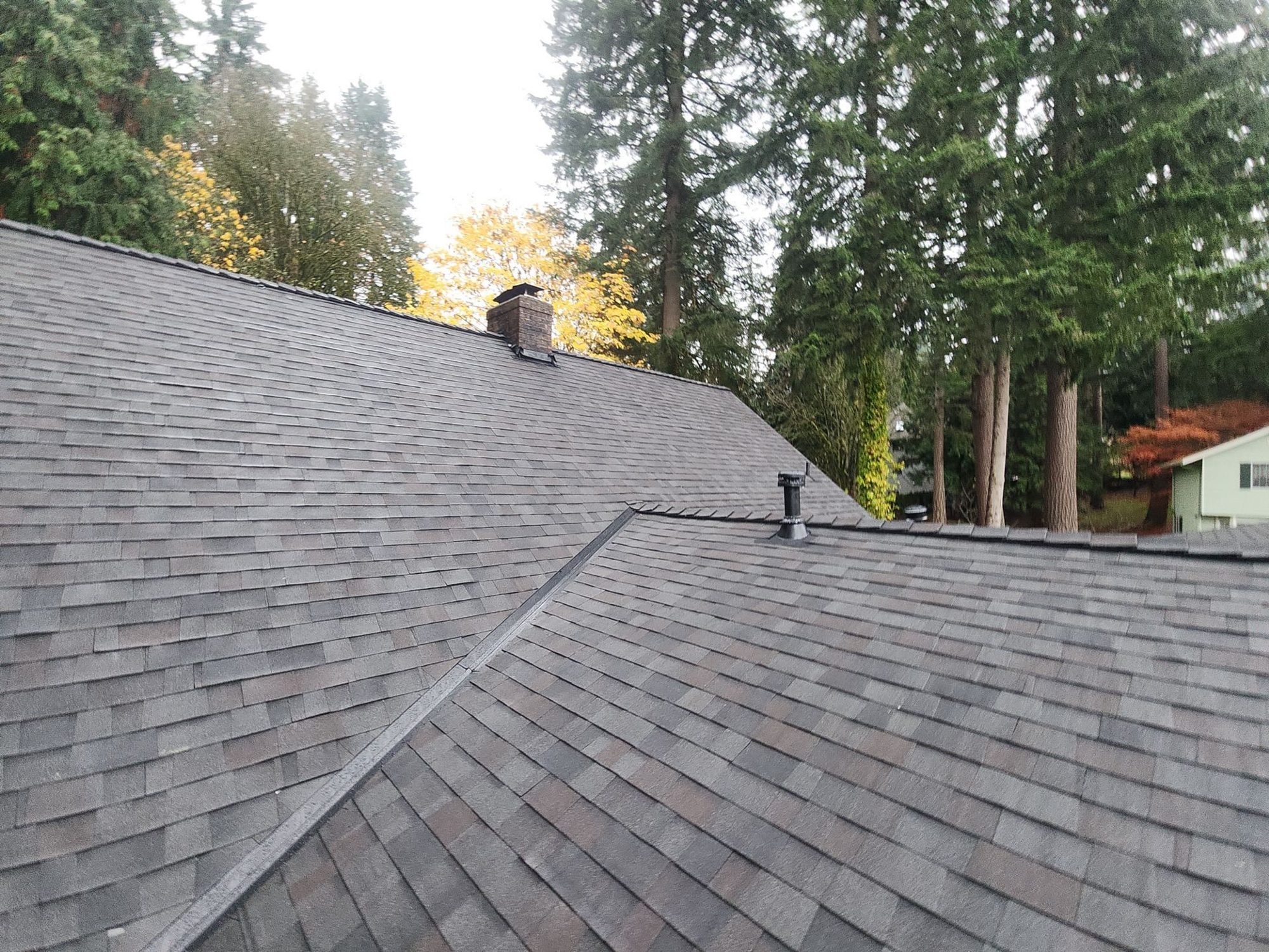 Finished Malarkey Vista Black Oak asphalt shingle roof with the chimney and the tree line, Woodinville, WA