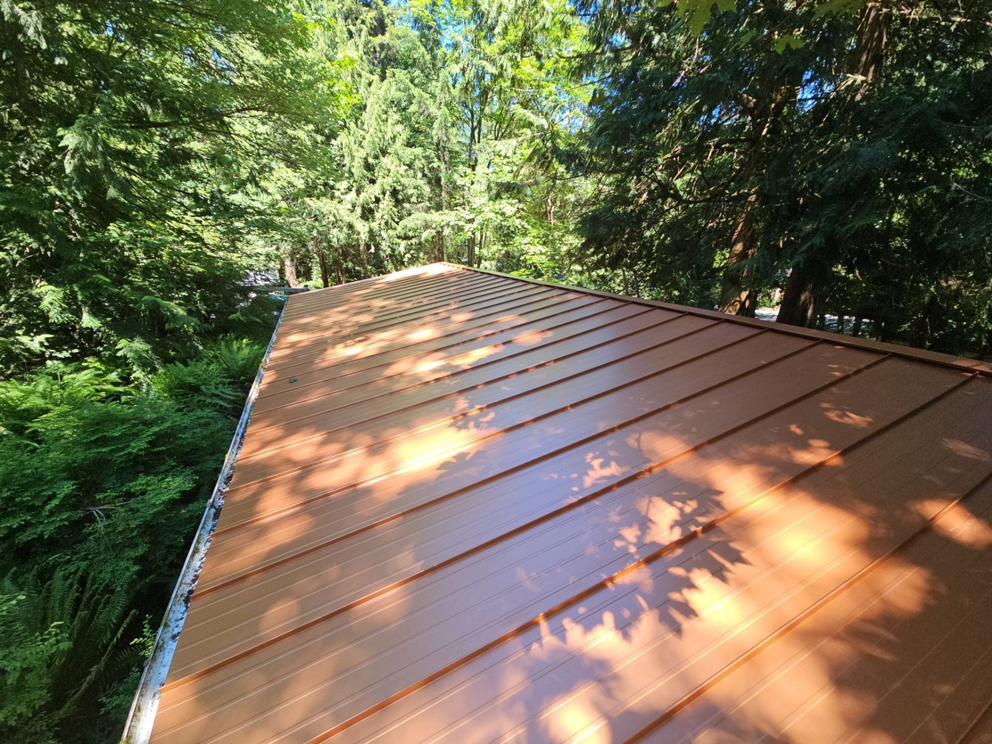 Finished Copper Penny standing seam metal roof panels under the trees, Marysville, WA