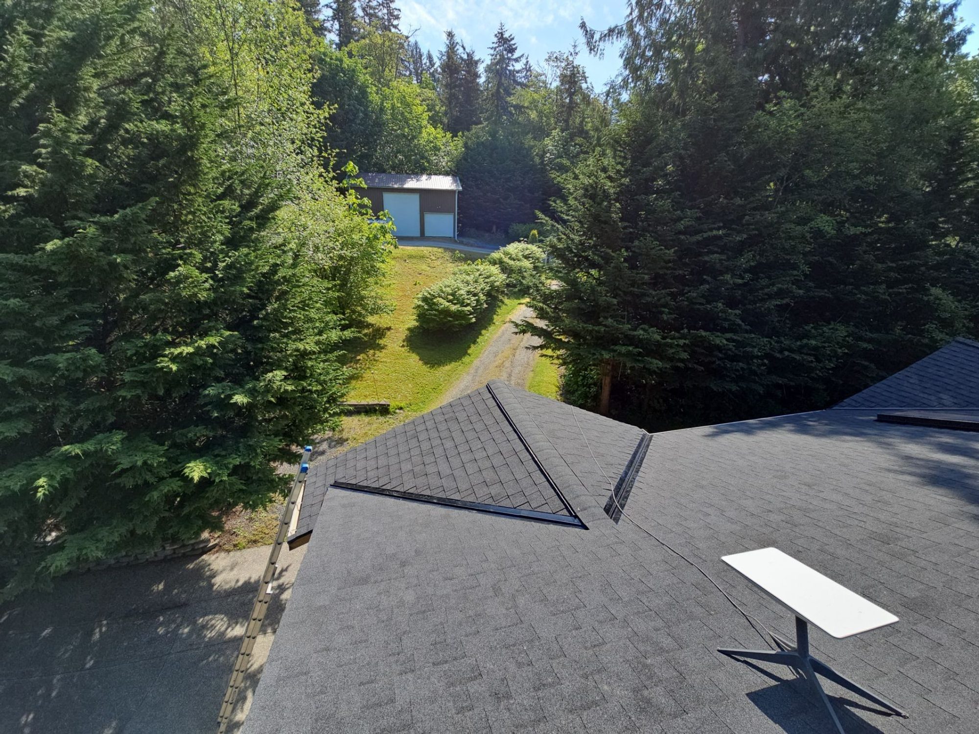 Finished Antique Black asphalt shingle roof looking toward the neighboring home through the trees, Tulalip Bay, WA