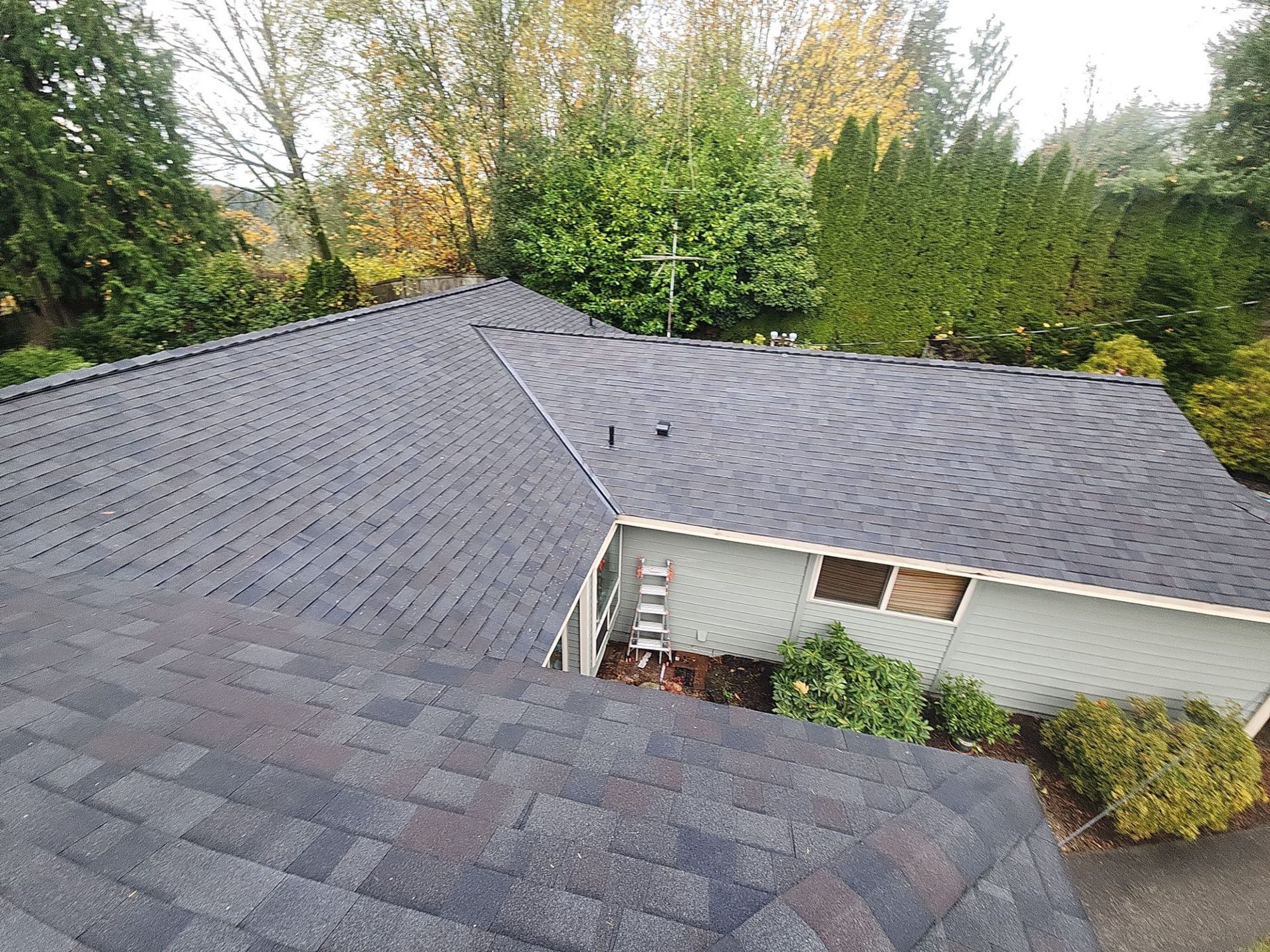 Finished Malarkey Vista Black Oak asphalt shingle roof from the ridge, Snohomish, WA