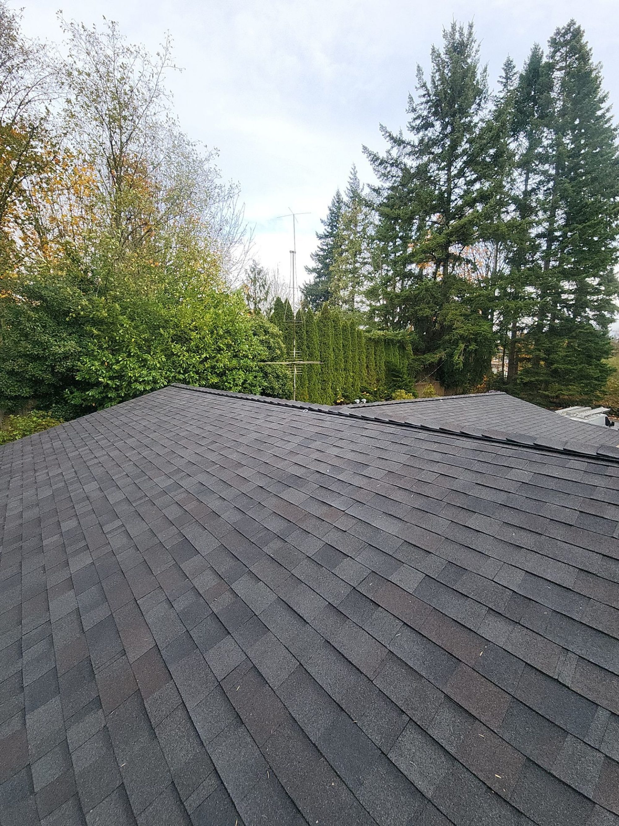 Amor Roofing Black Oak asphalt roof in Snohomish, finished roof