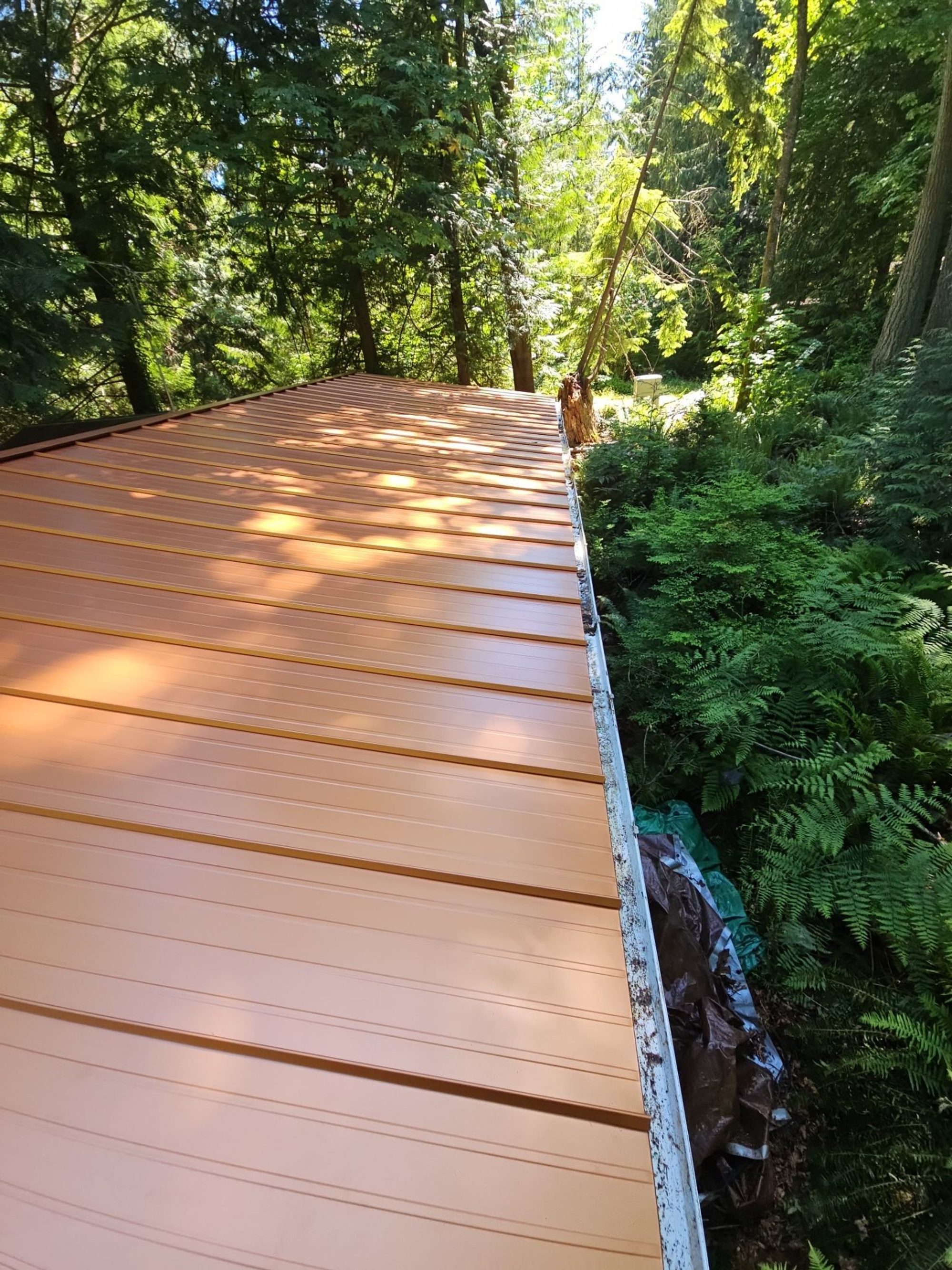 Panel run of the Copper Penny standing seam metal roof toward the forest, Marysville, WA