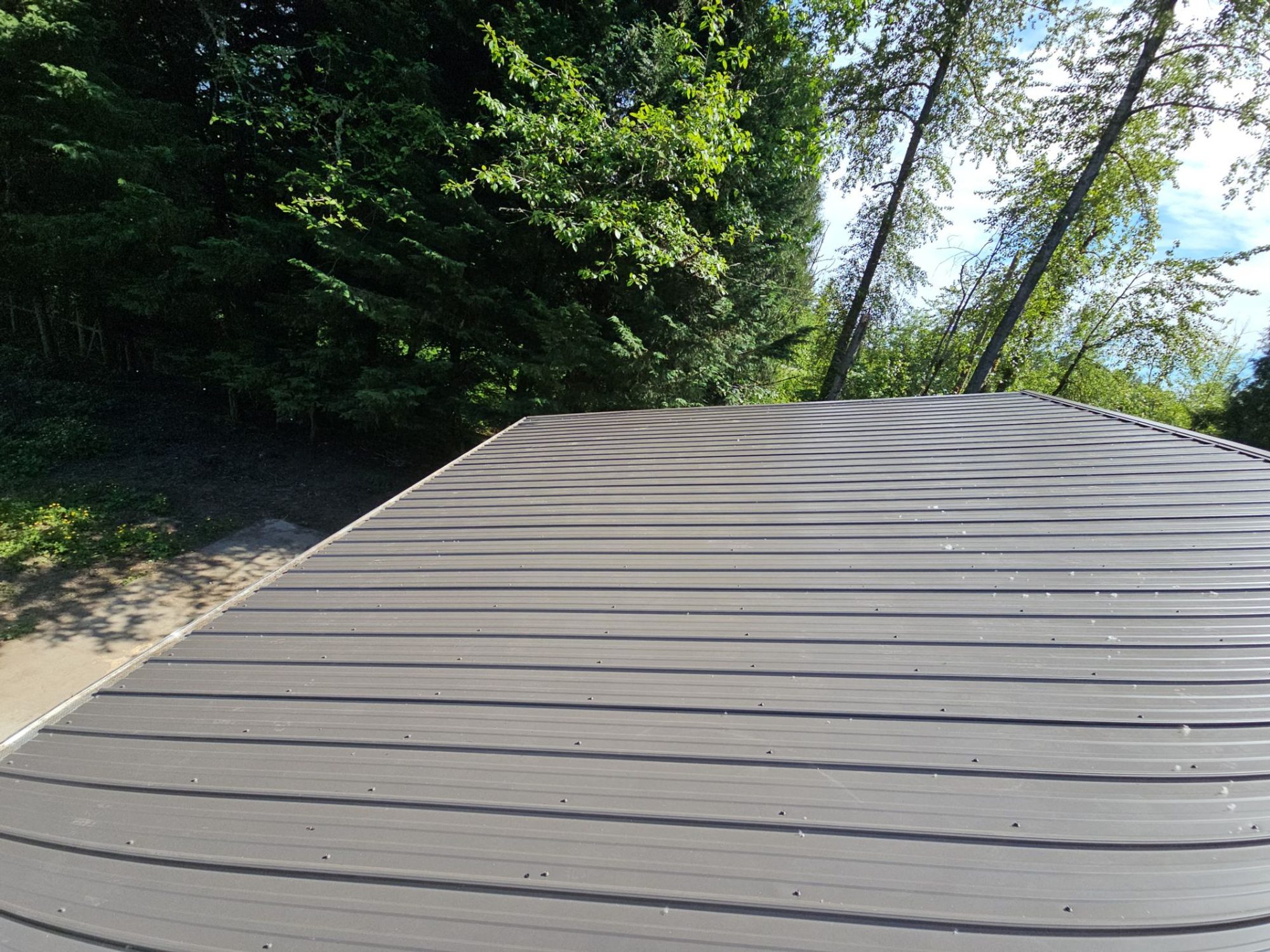 Amor Roofing Medium Bronze asphalt roof in Snohomish, metal bronze roof treeline