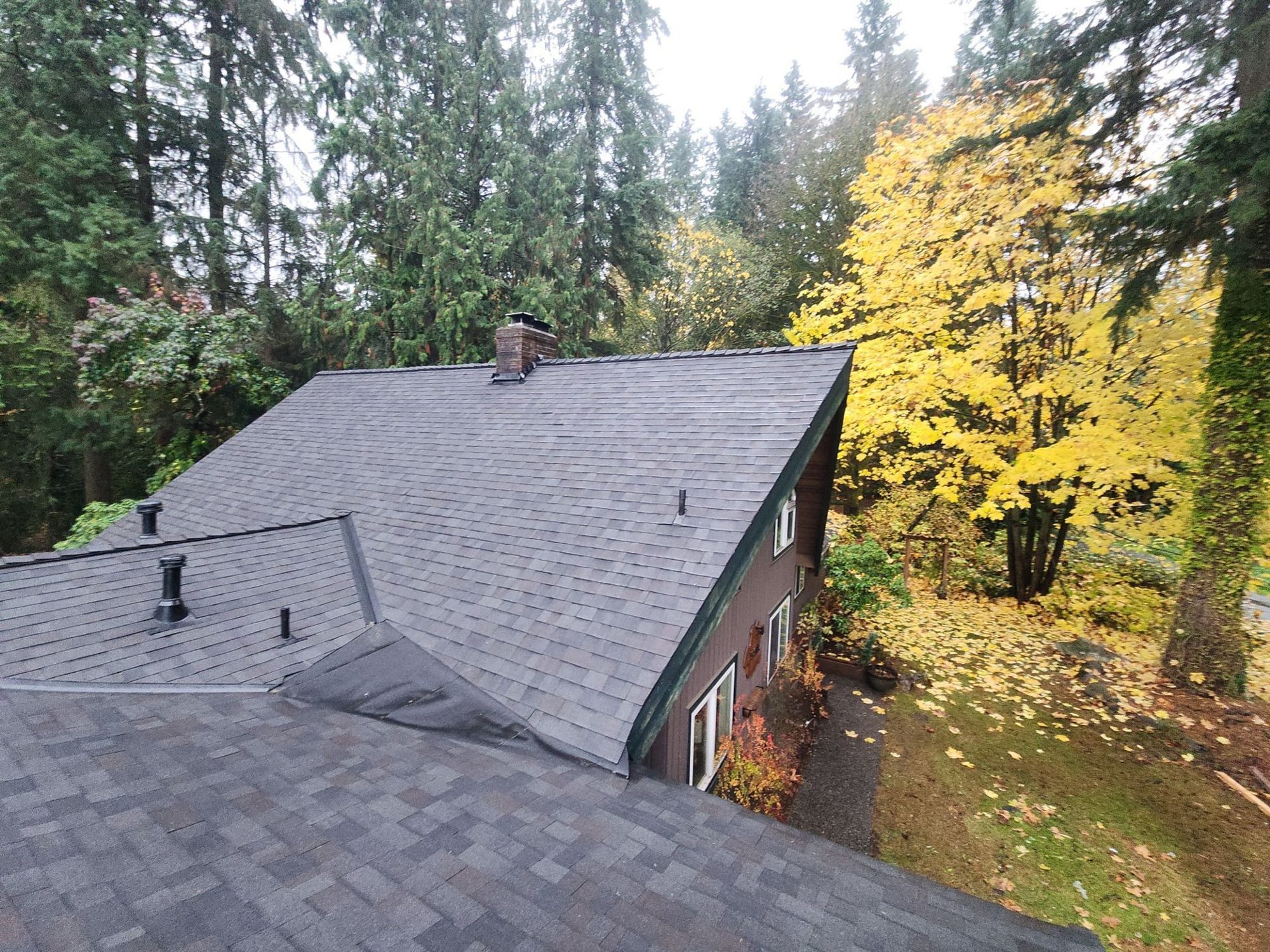 Full view of the Woodinville, WA home with its new Malarkey Vista Black Oak asphalt shingle roof and the autumn maple