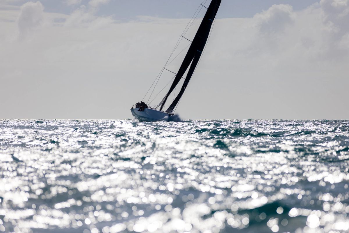 Pimu alone on a glittering sea off Grenada