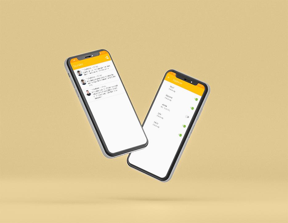 project overview
