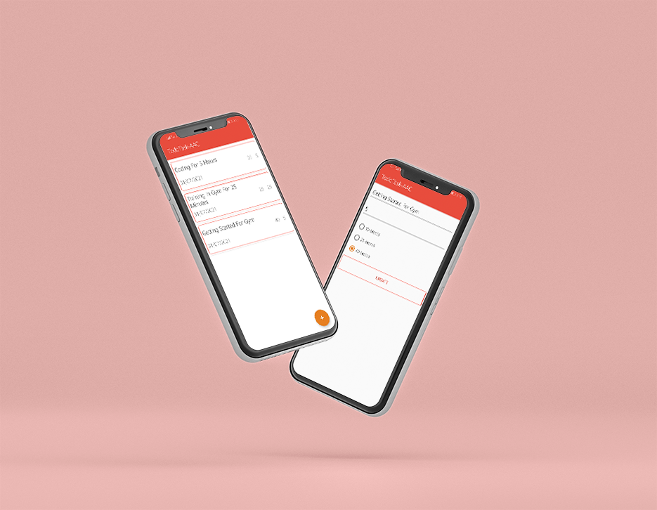 project overview