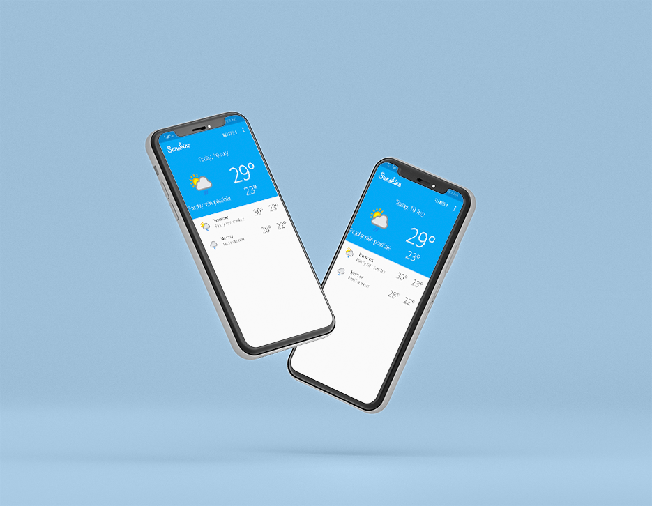 project overview