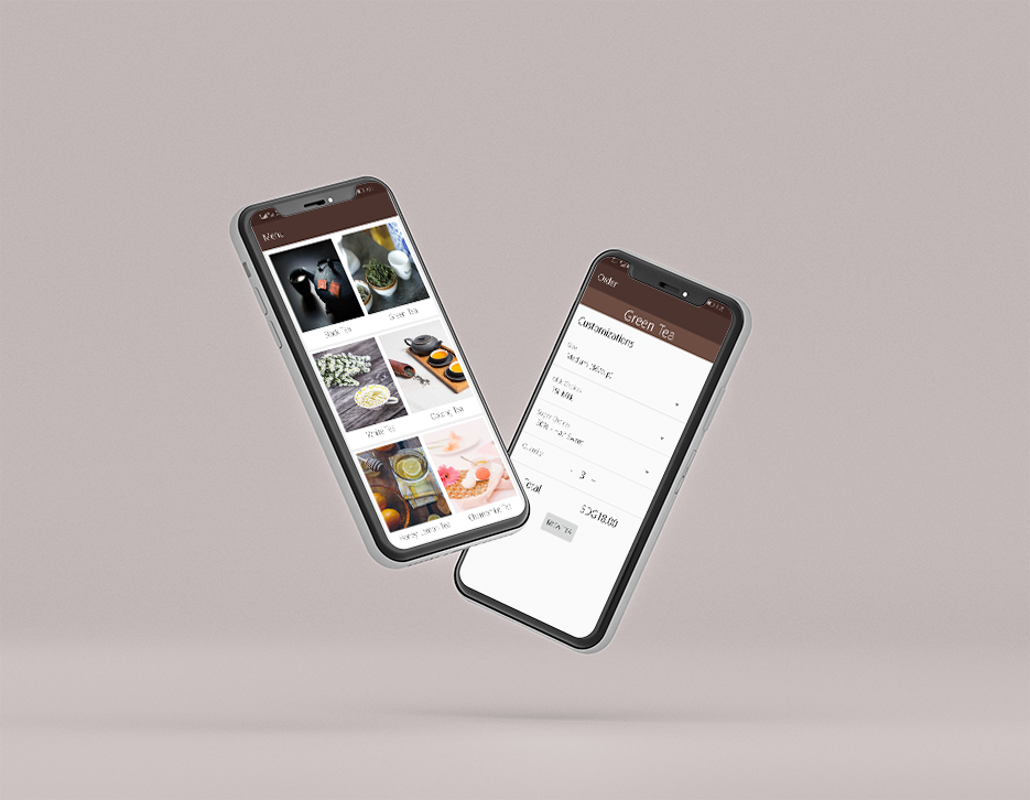 project overview