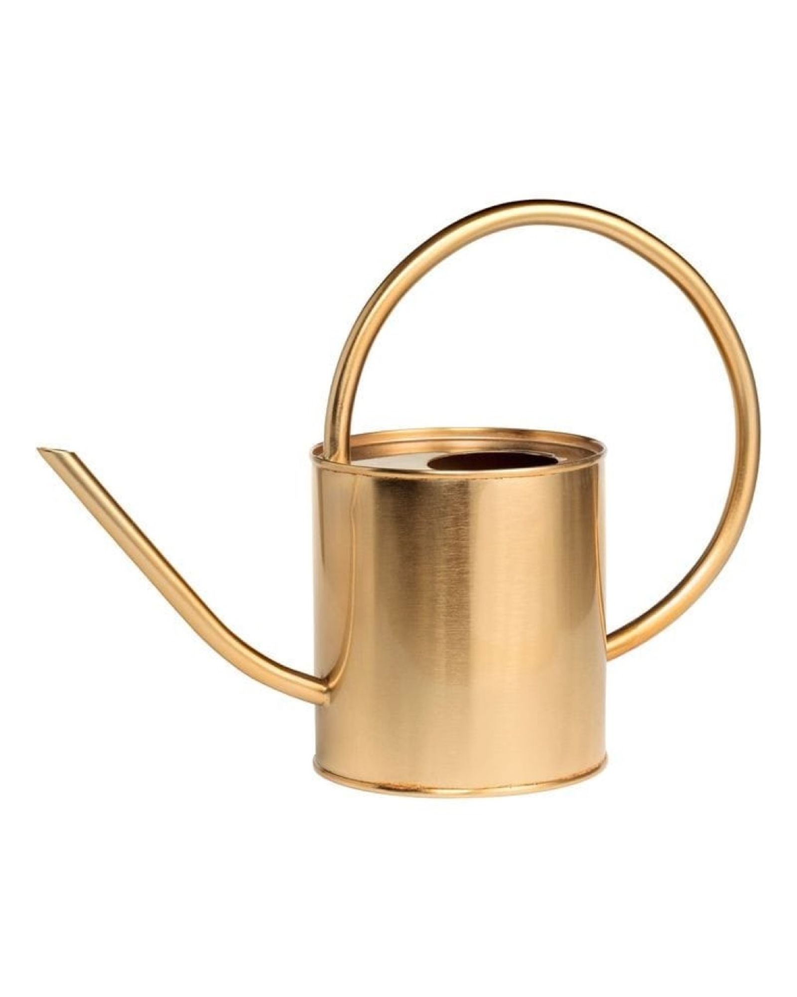 Brushed-gold metal watering can with a long spout and ring handle