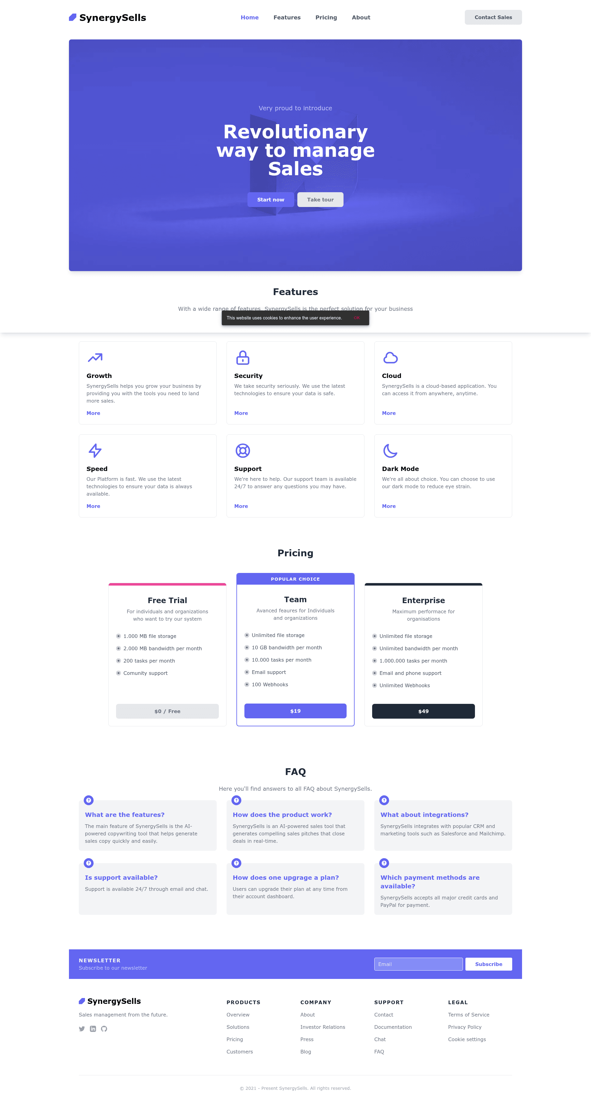 screenshot of SynergySells on template0.com