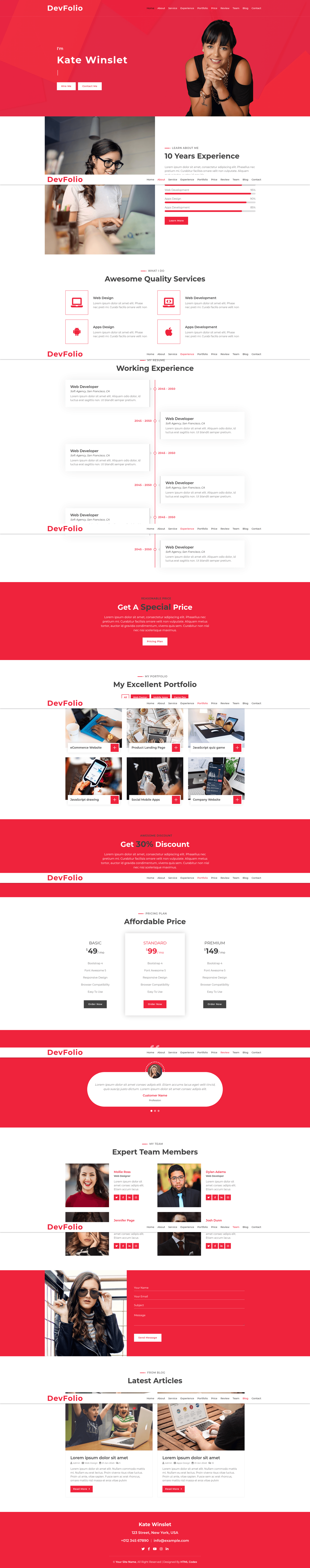 screenshot of DevFolio on template0.com