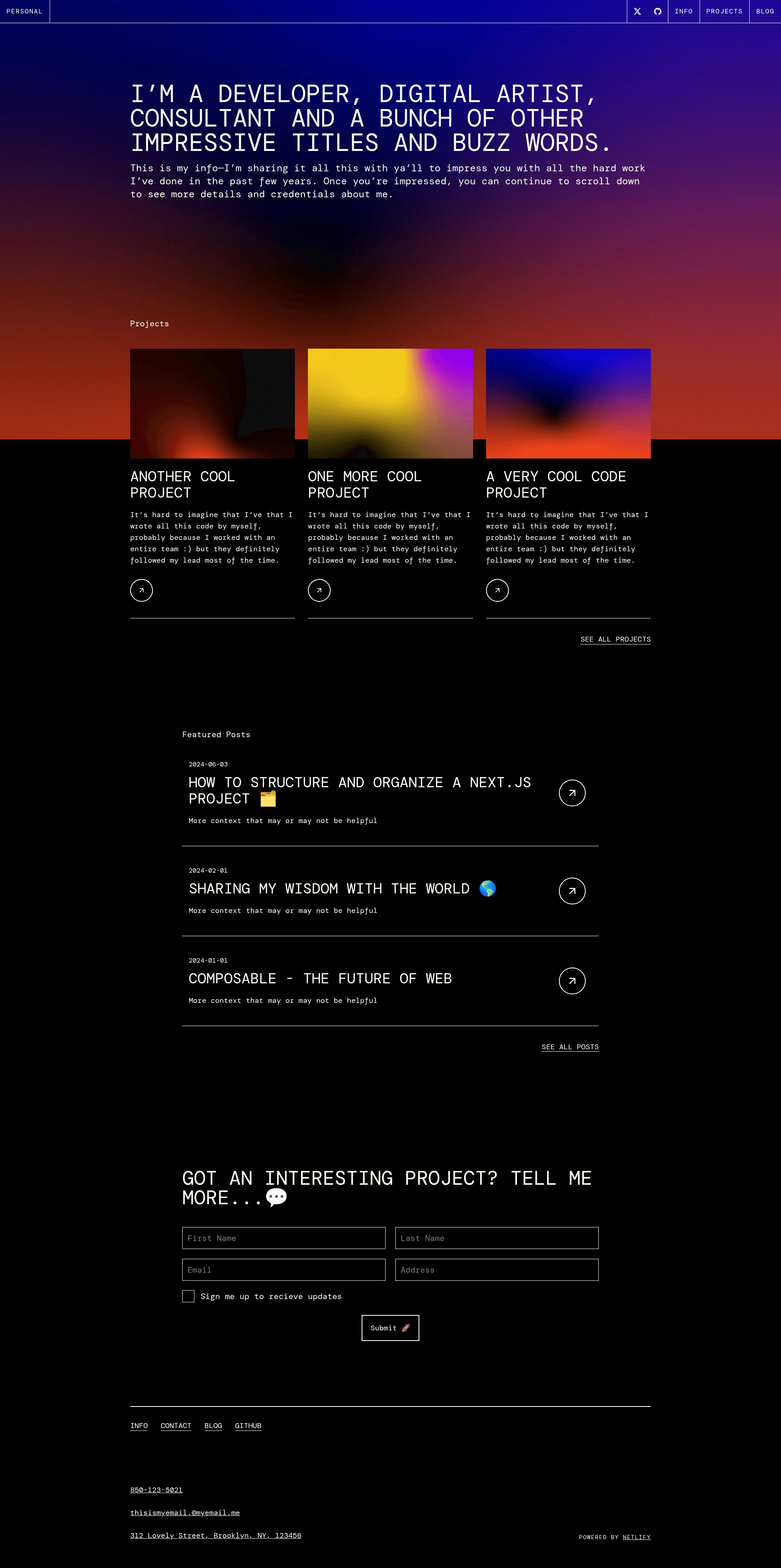 screenshot of Netlify Developer Portfolio Starter on template0.com