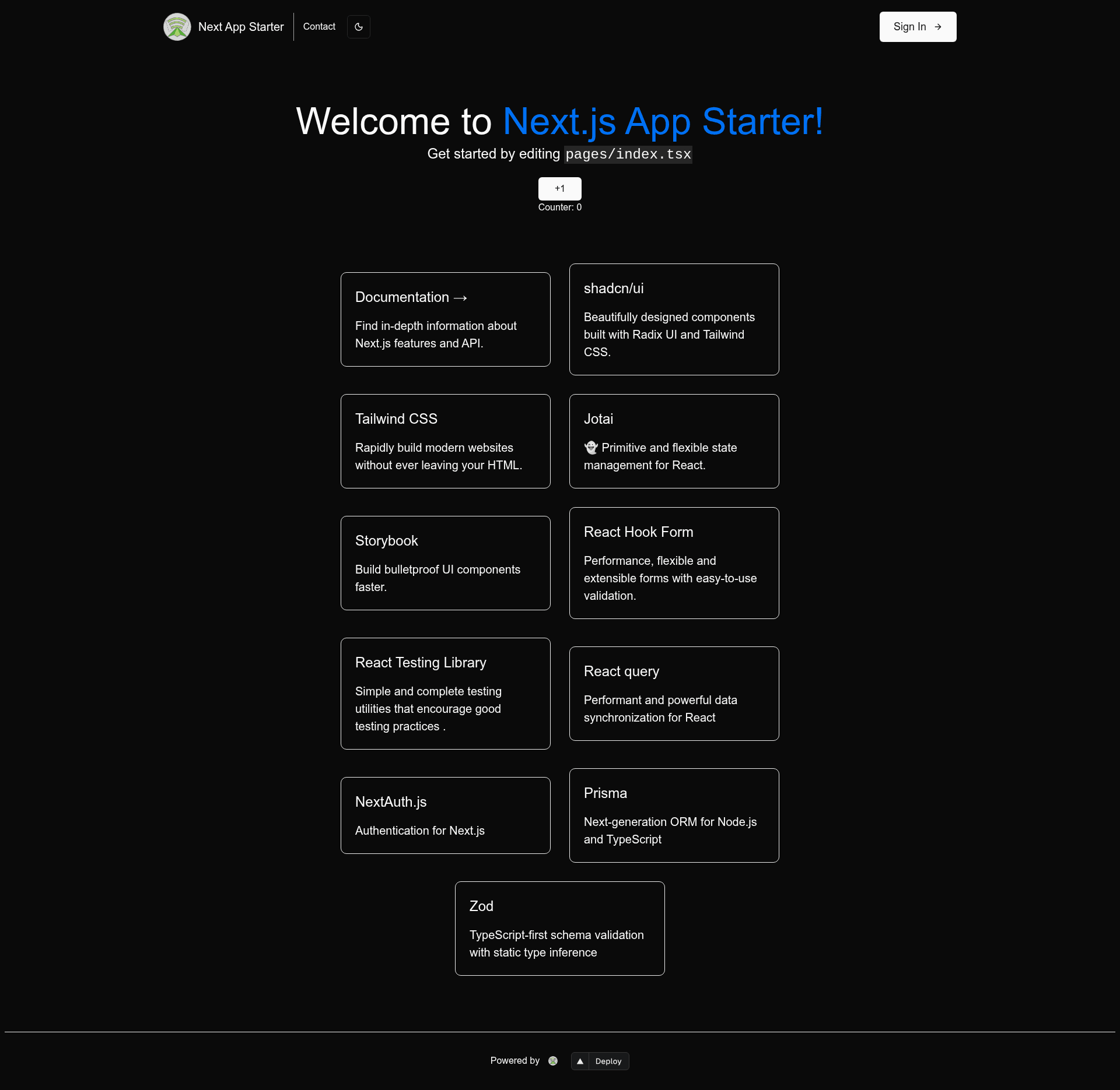 screenshot of Next App Starter on template0.com