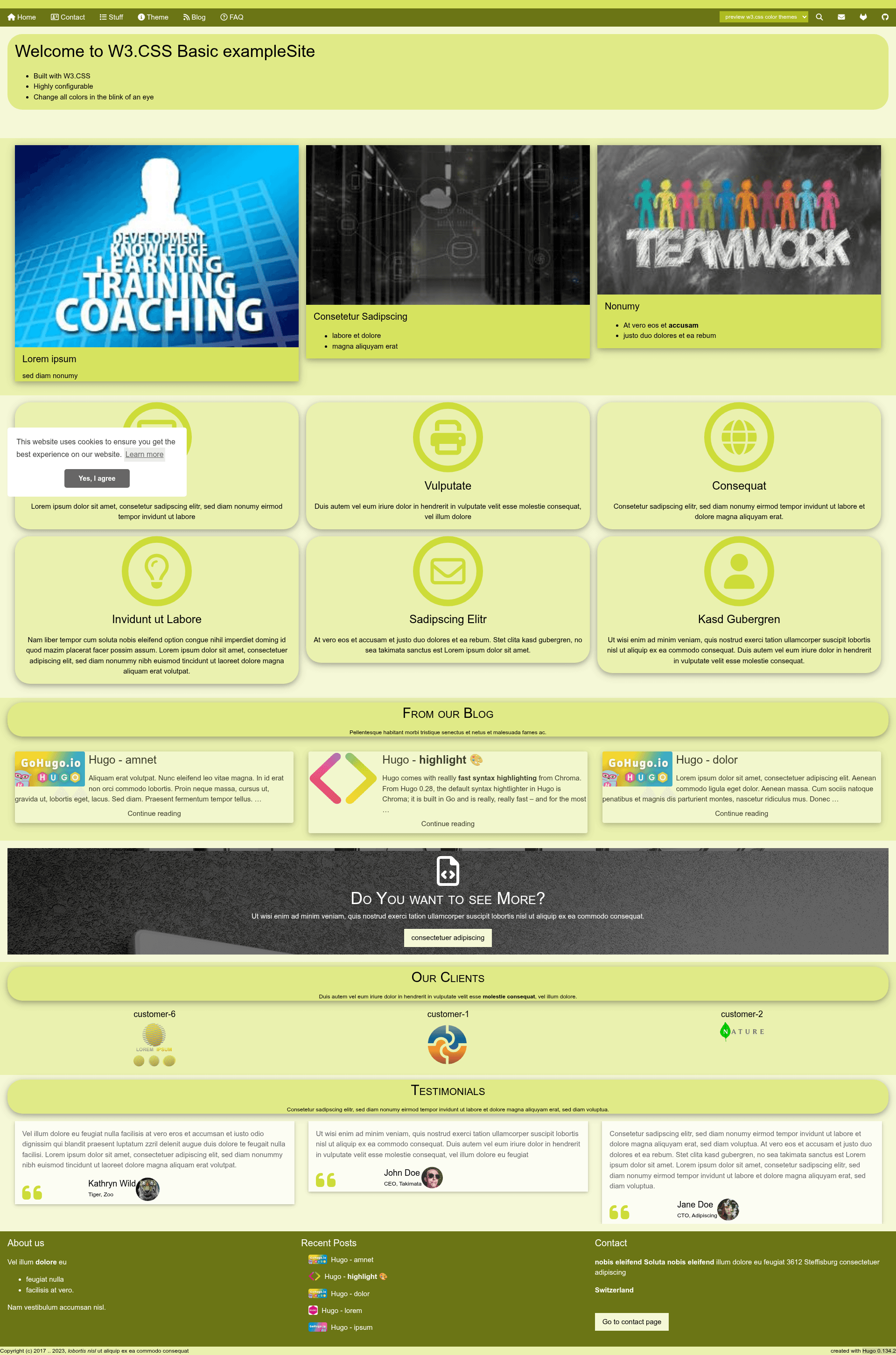 screenshot of W3.CSS Basic on template0.com