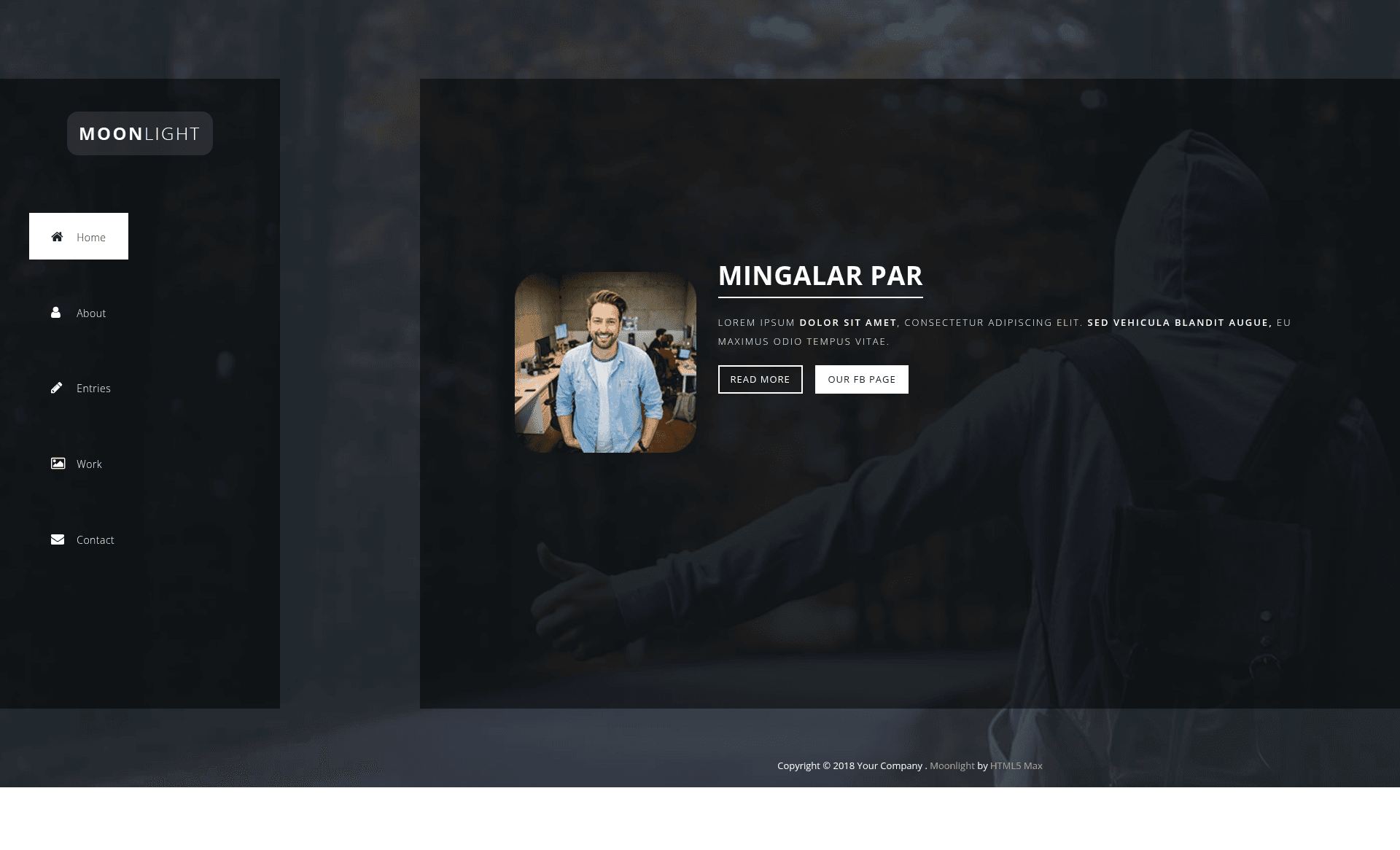 screenshot of Moonlight – Free One Page Bootstrap Template on template0.com