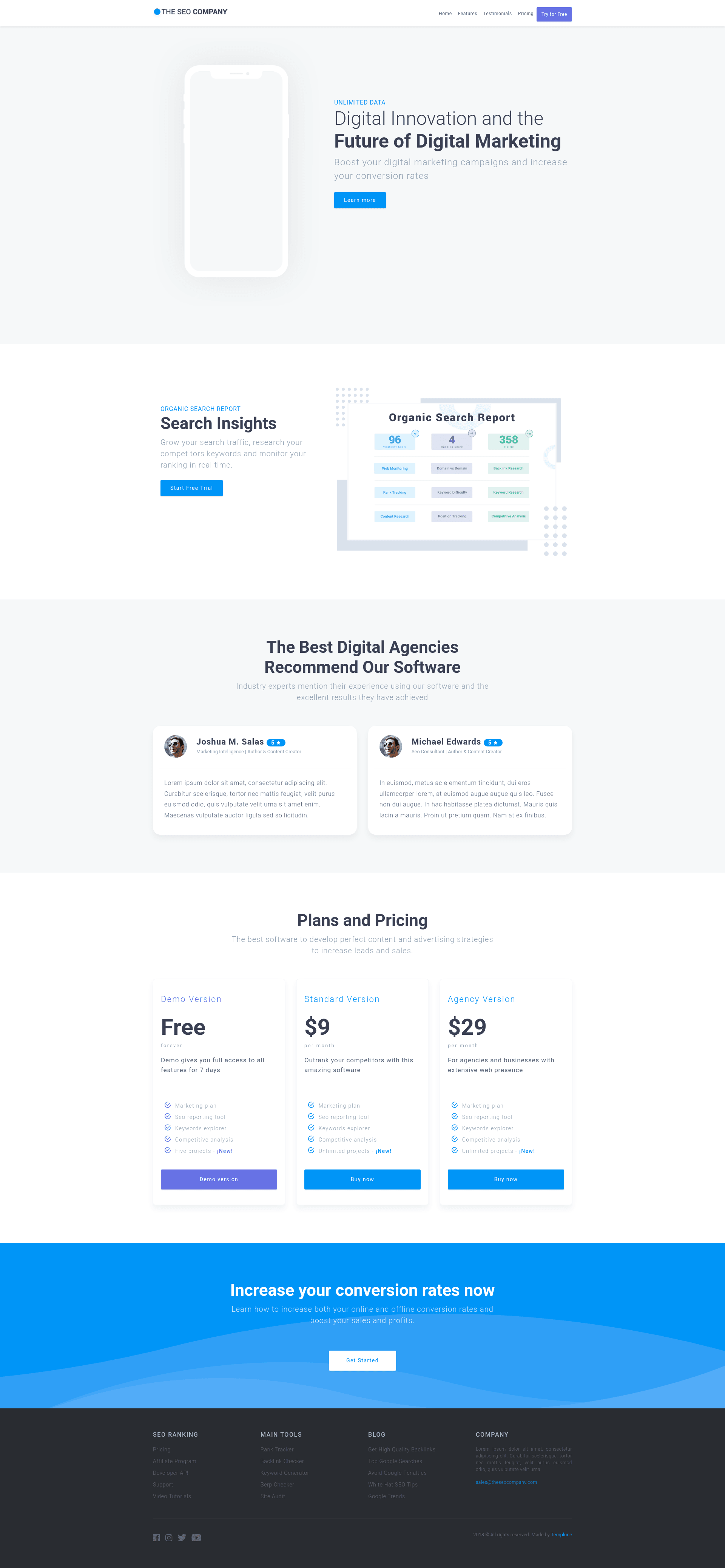 screenshot of The SEO Company on template0.com