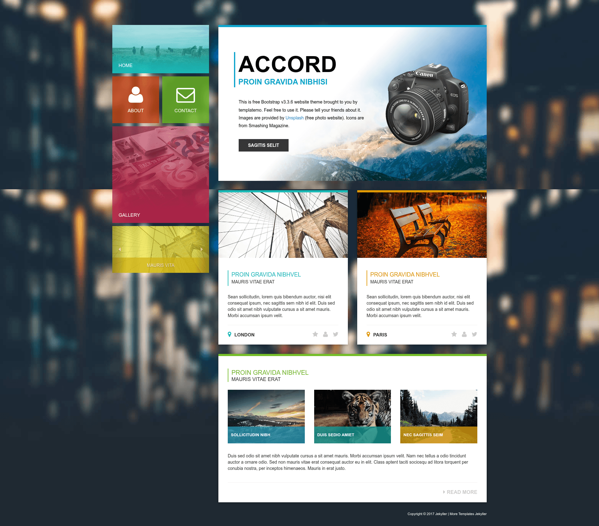screenshot of Online-cv (Panel CV style win8) on template0.com
