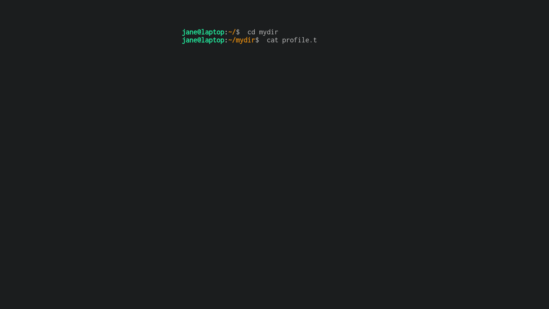 screenshot of Hugo Theme: Shell on template0.com