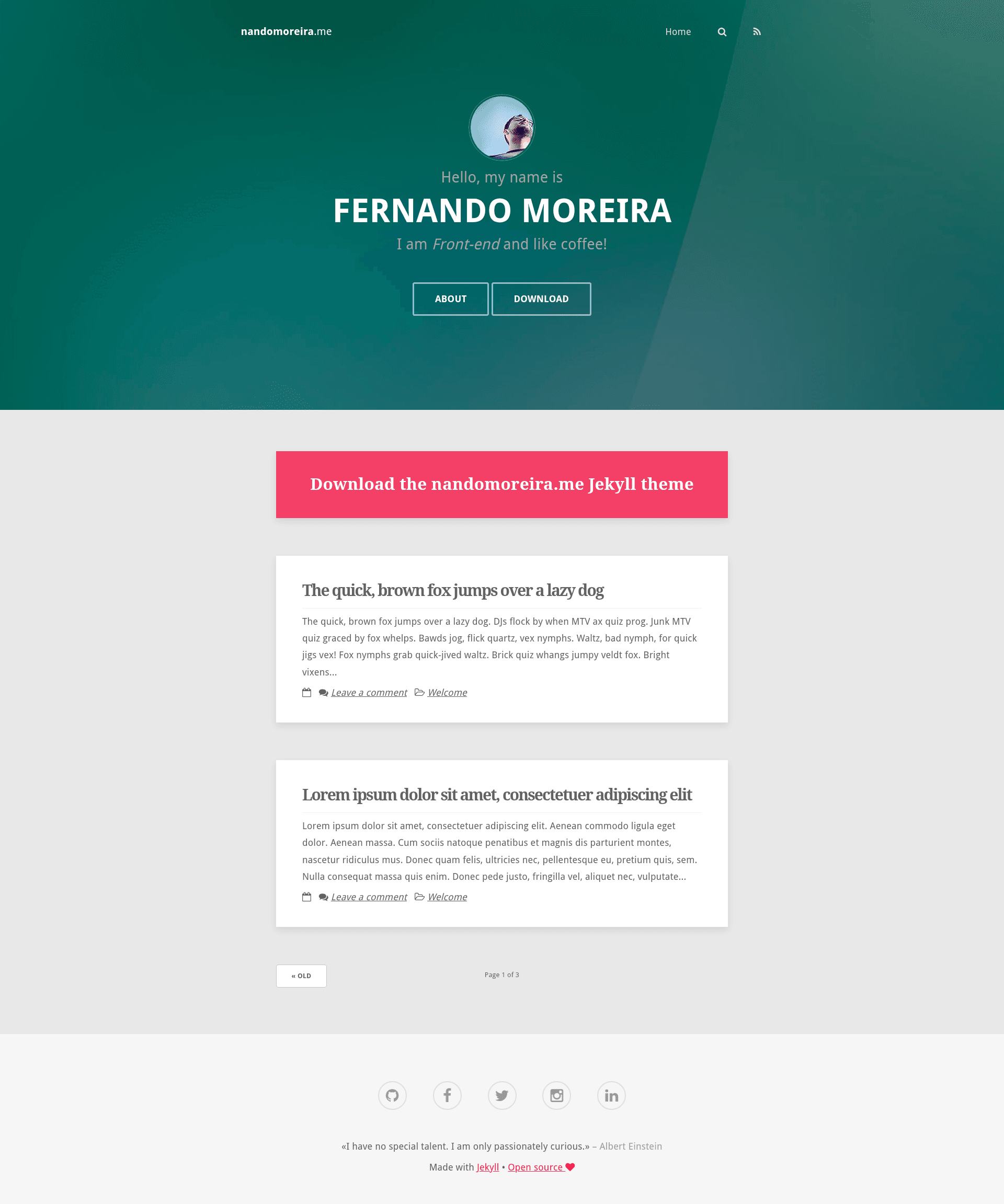 screenshot of nandomoreira.me on template0.com