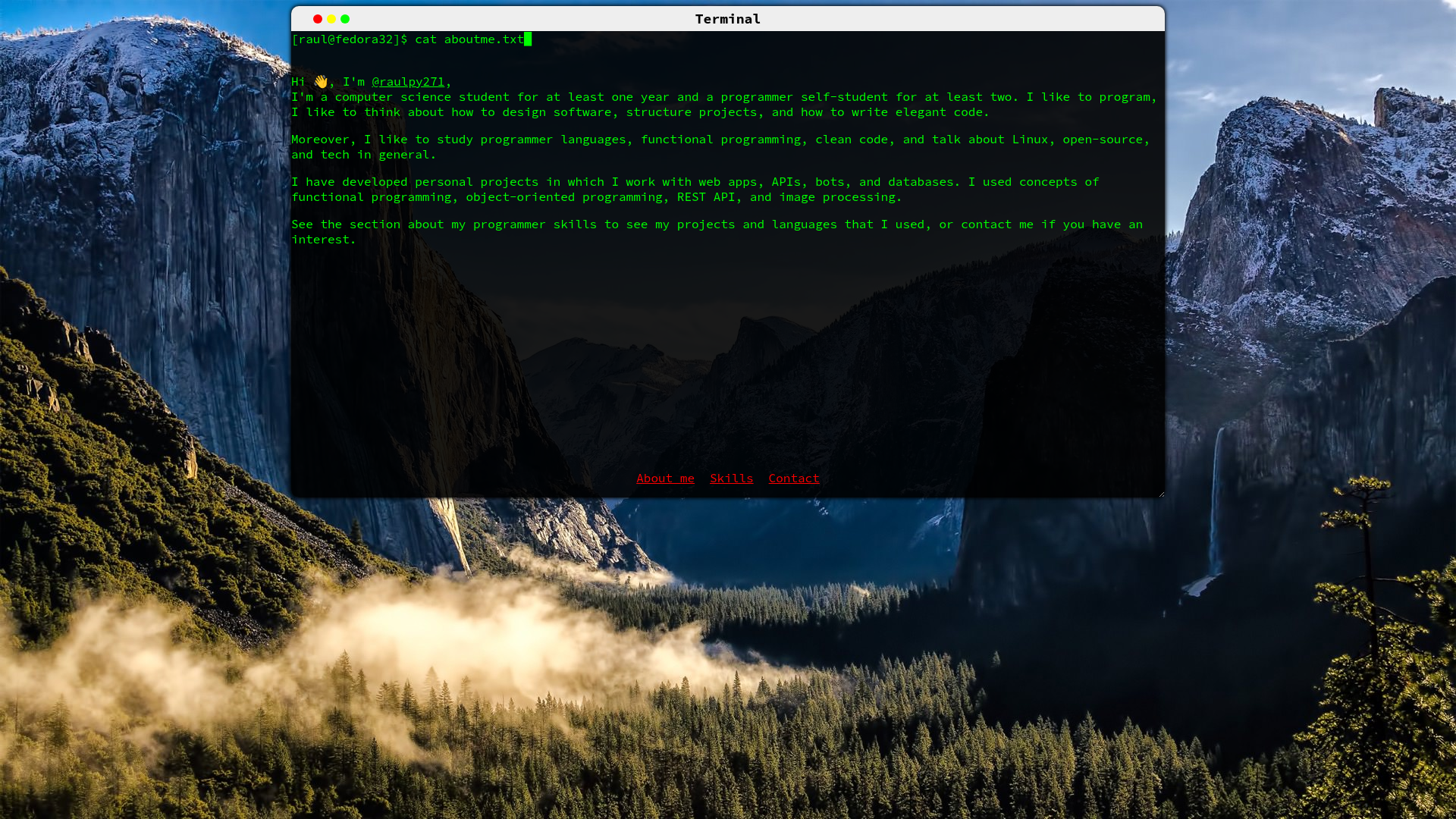 screenshot of Portfolio In Terminal Style on template0.com