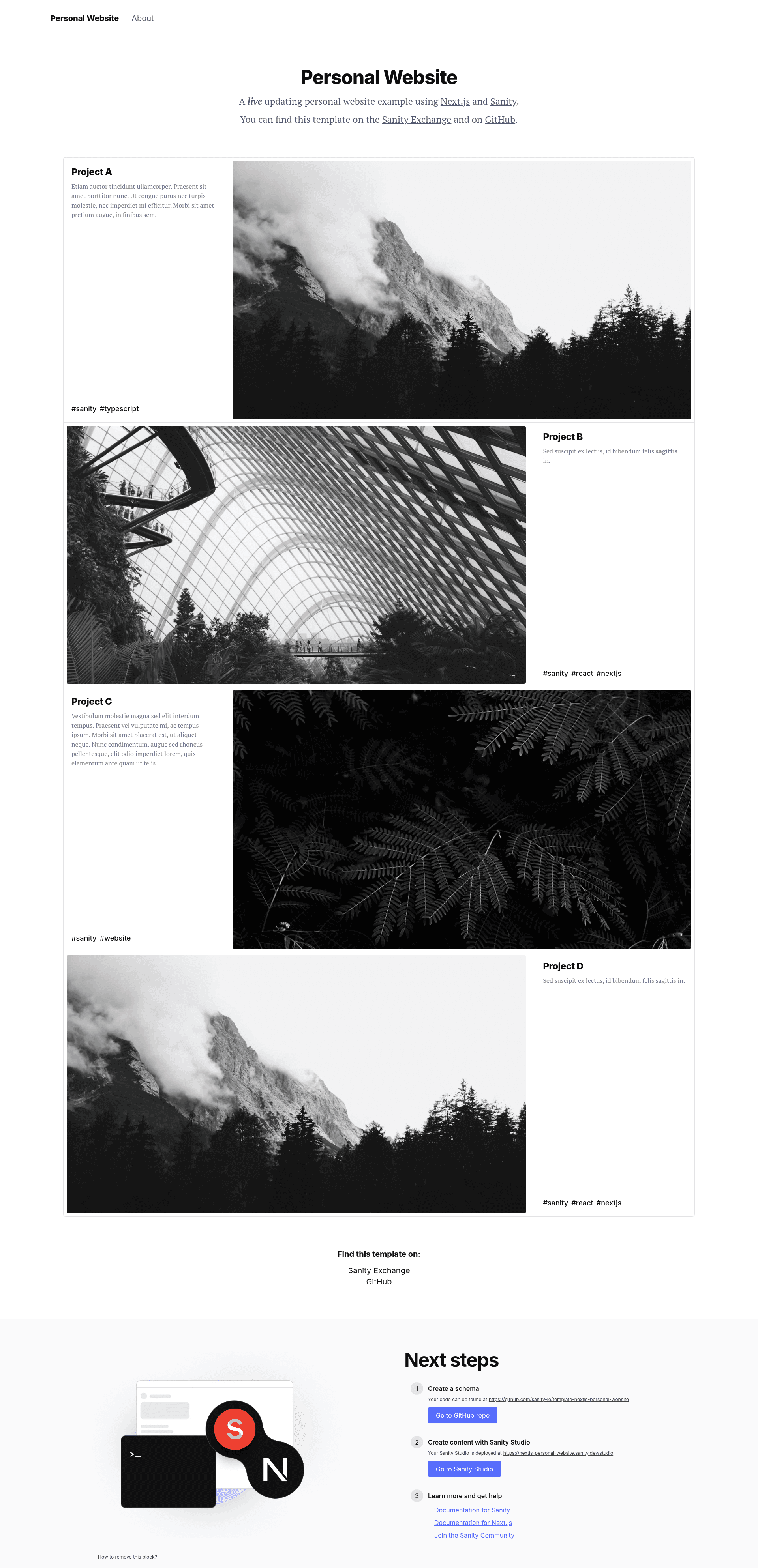screenshot of Sanity + Next.js Personal Website on template0.com