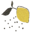 Logo of Hugo Apéro on template0.com