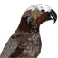 Logo of hugodown on template0.com