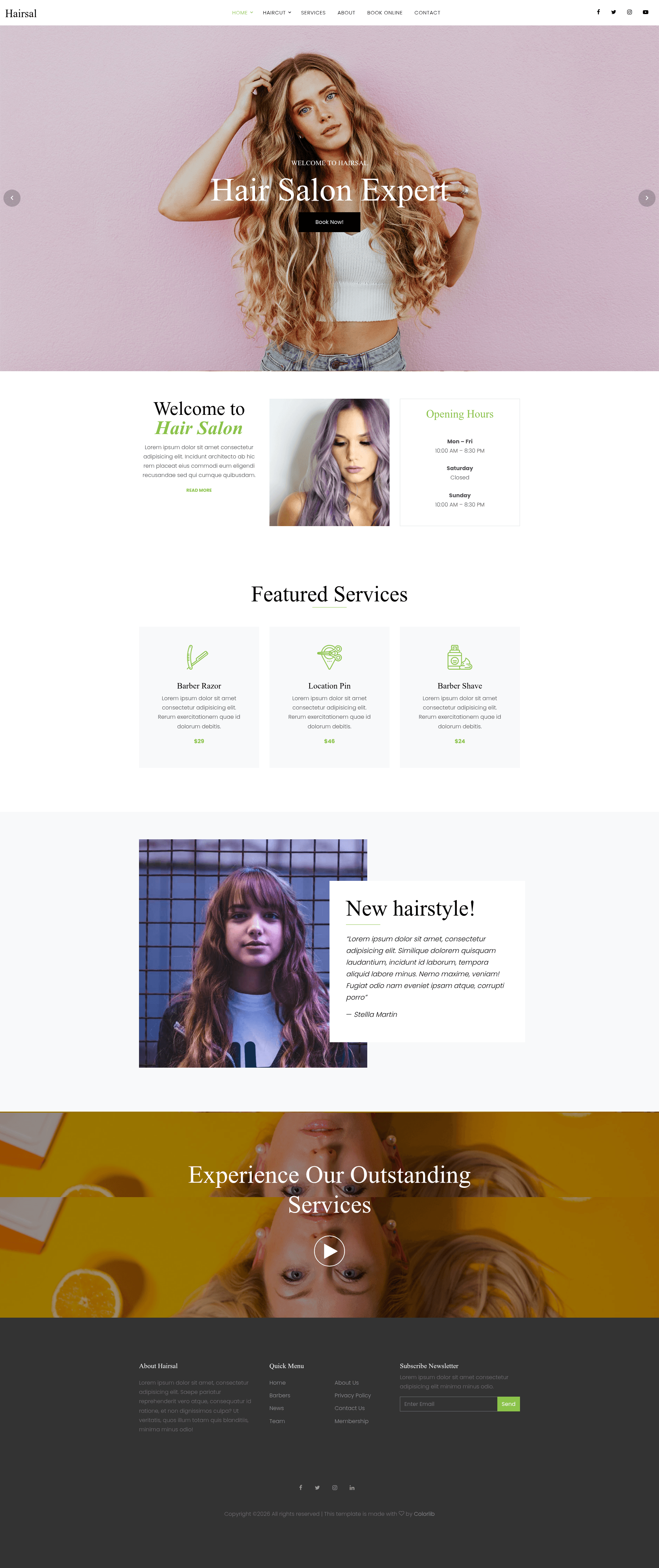 screenshot of Hairsal on template0.com