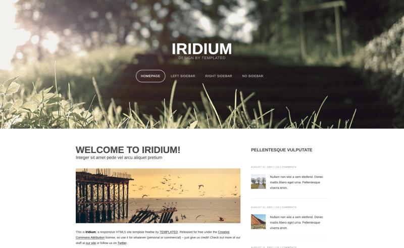 Image for Iridium – Free HTML5 & CSS3 Landing Page Template on template0.com Image for Iridium – Free HTML5 & CSS3 Landing Page Template on template0.com