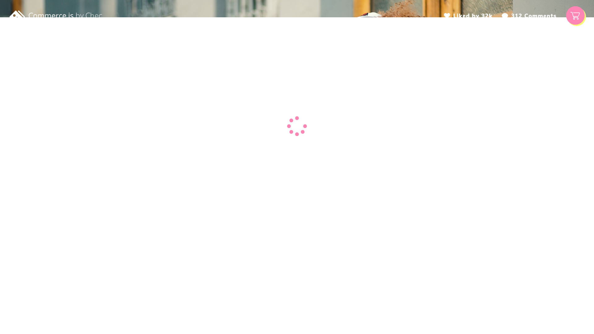 screenshot of Commerce.js Vue.js Boilerplate on template0.com