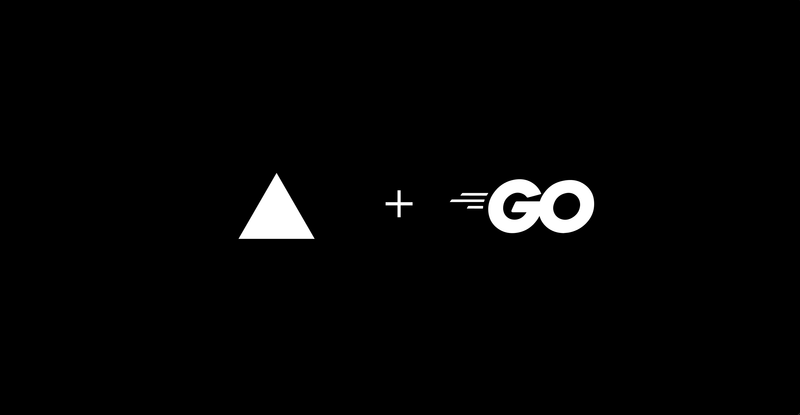 Image for Go Starter on template0.com Image for Go Starter on template0.com