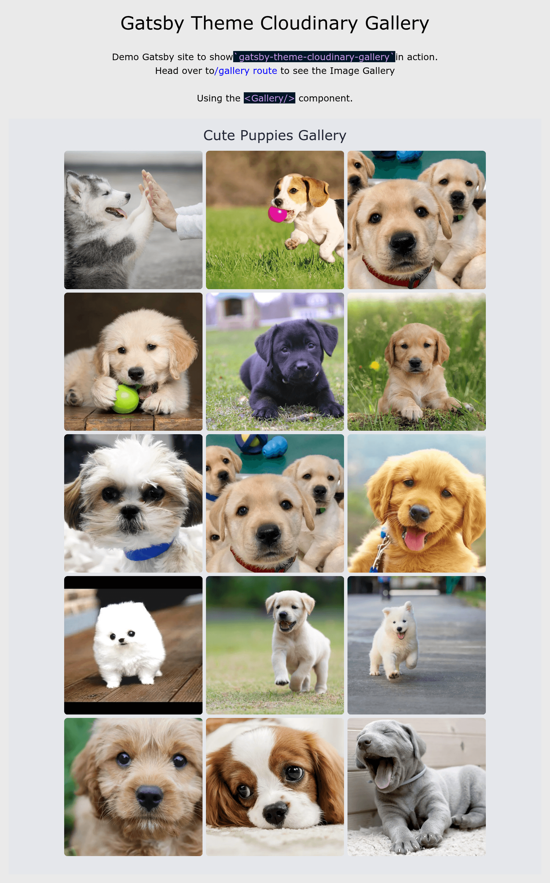 screenshot of Gatsby Theme Cloudinary Gallery on template0.com