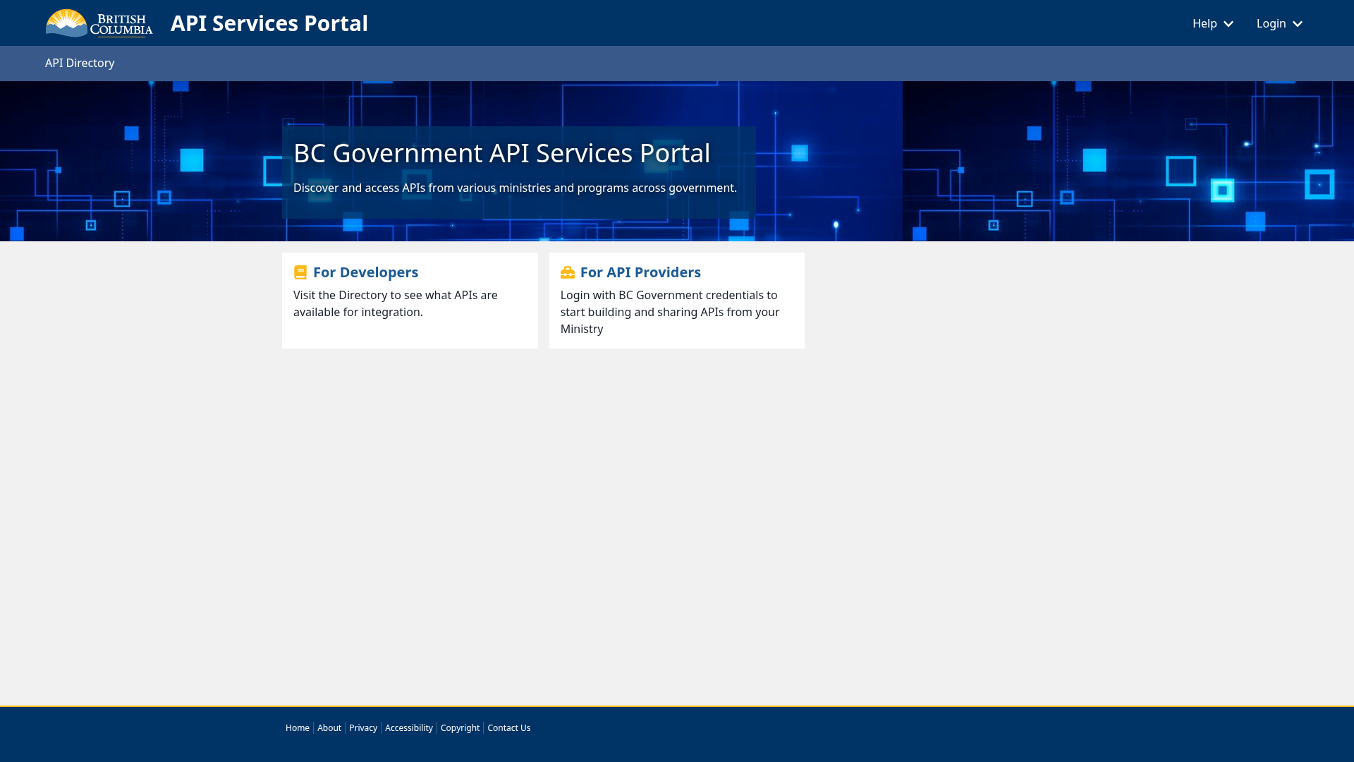 screenshot of API Services Portal on template0.com