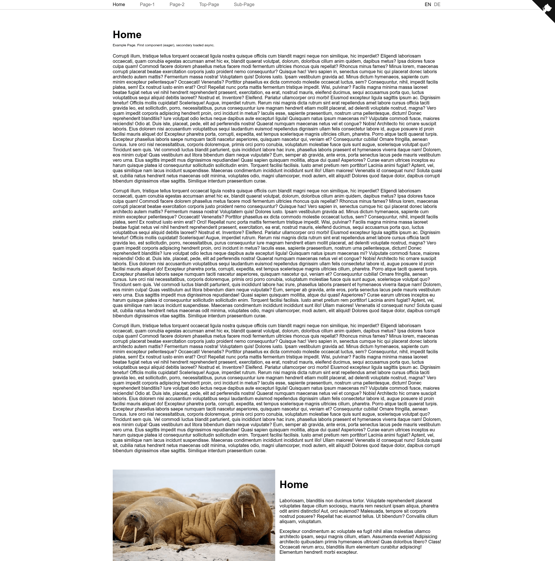 screenshot of Nuxt Page Generator Helper on template0.com