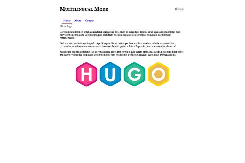 Image for Hugo Multilingual Boilerplate on template0.com
