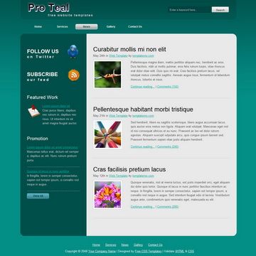 Image for Pro Teal on template0.com
