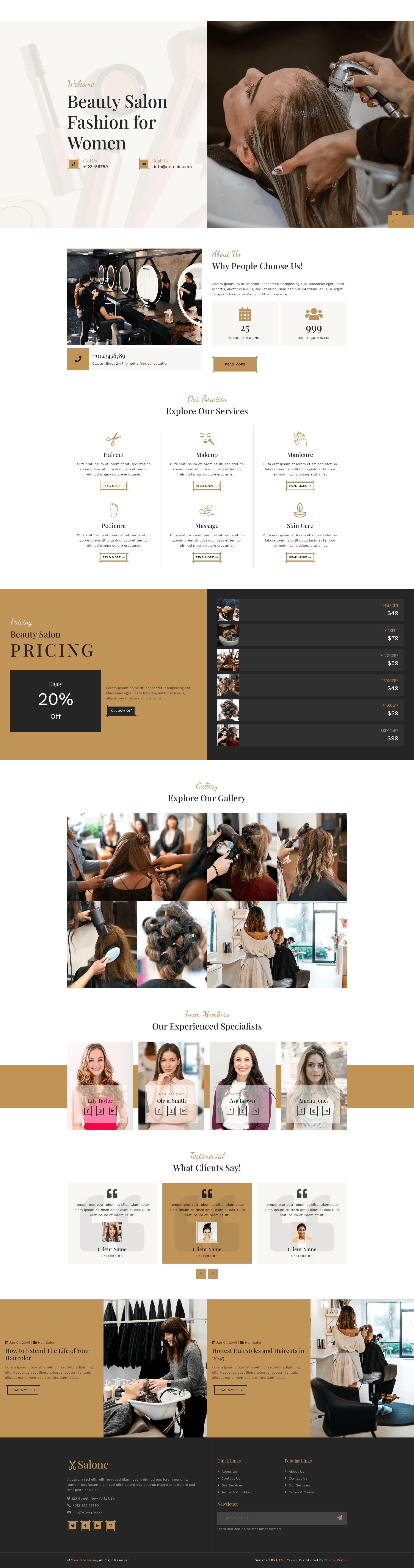 screenshot of Salone on template0.com