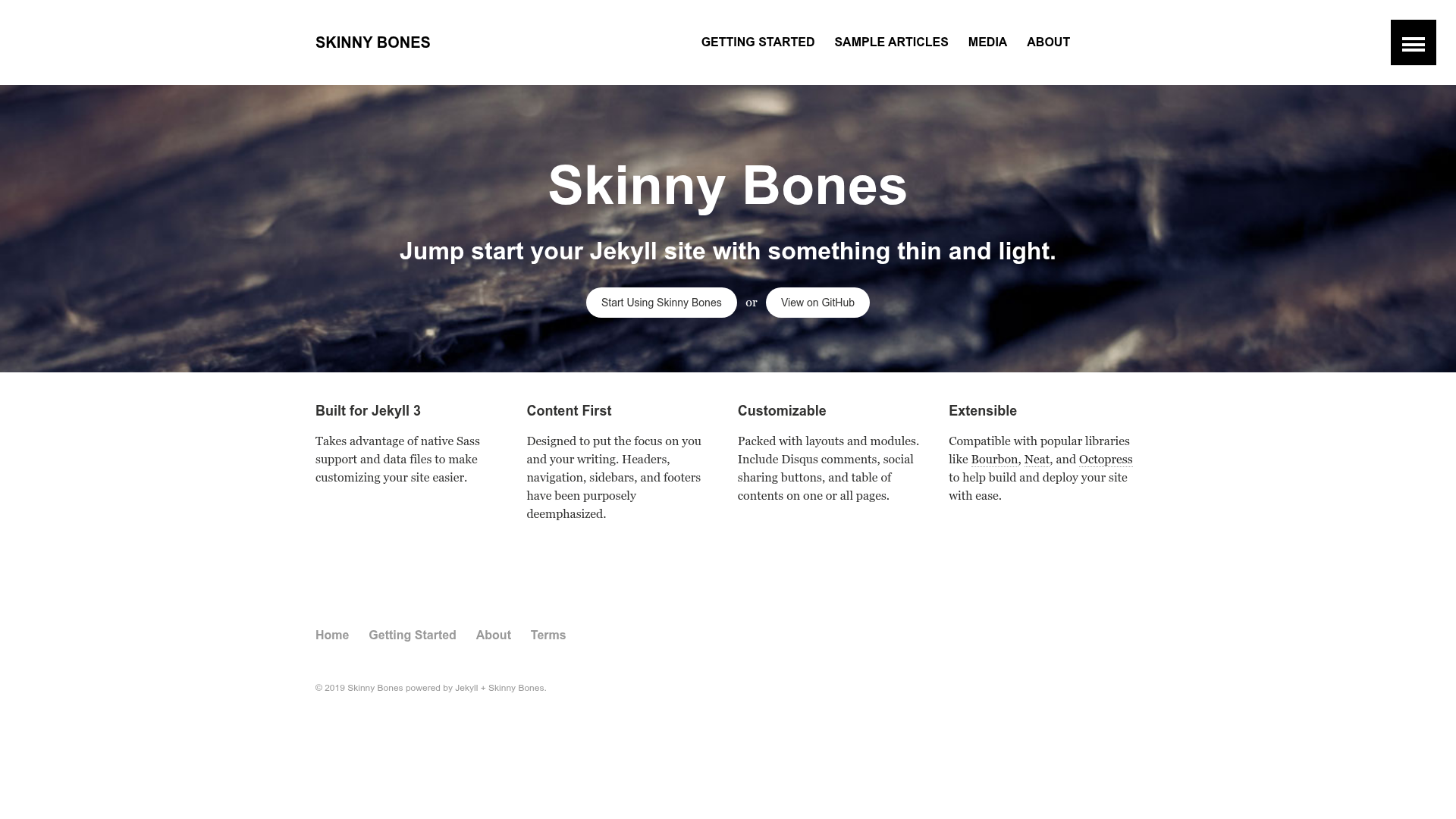 screenshot of Skinny Bones on template0.com