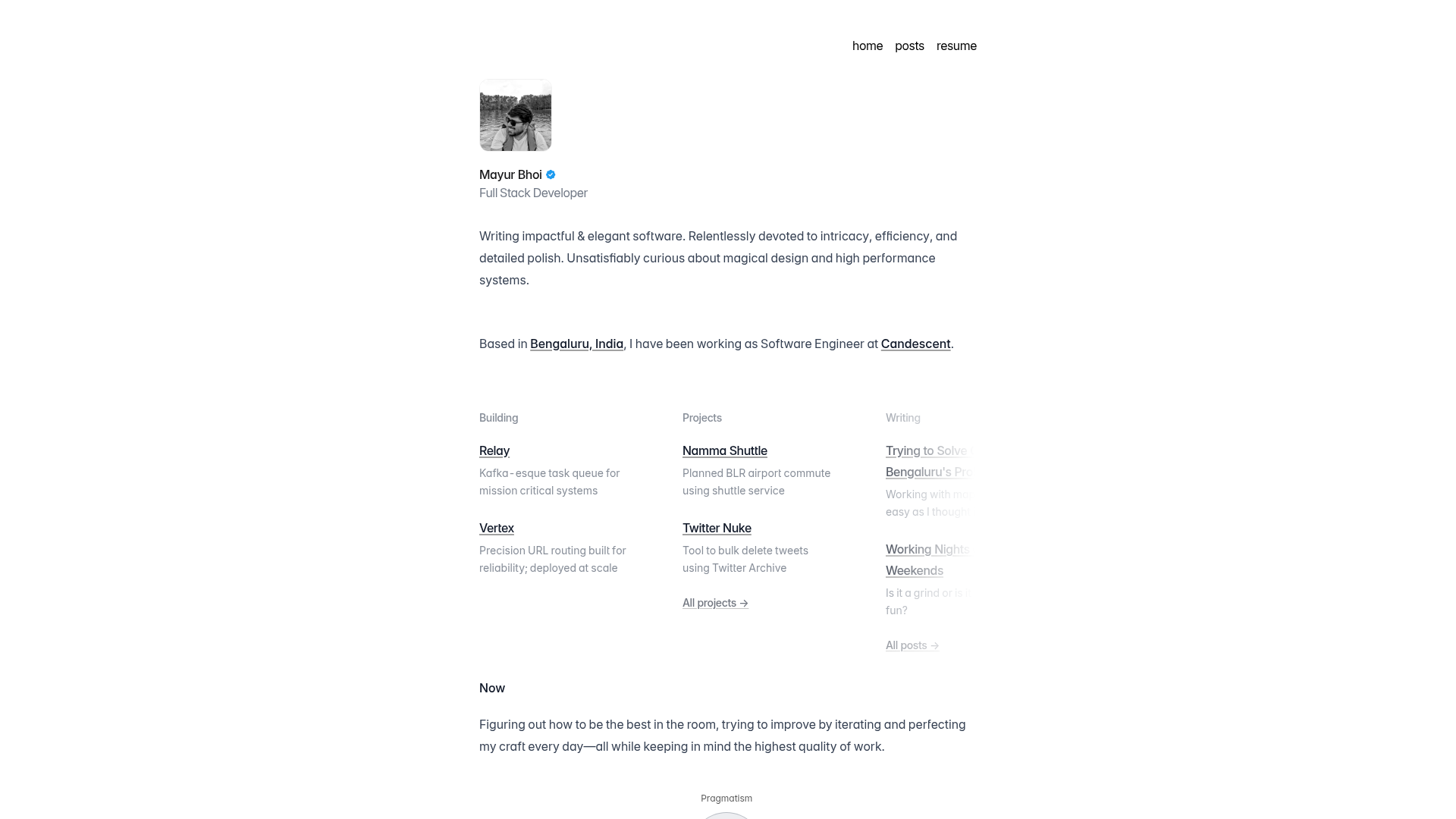 mayurbhoi.com preview