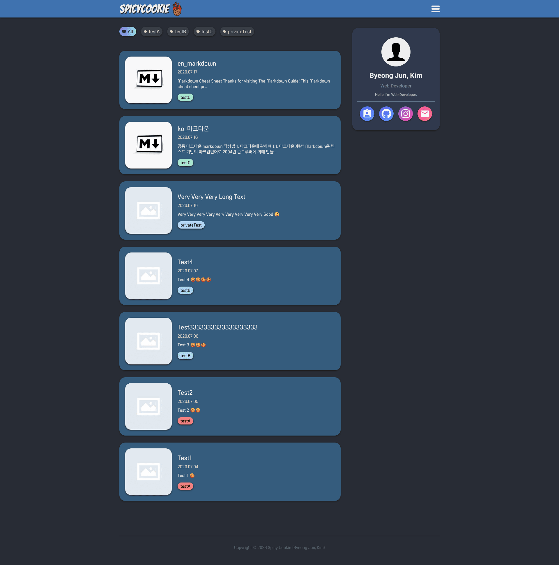 screenshot of Gatsby Starter Spicycookie on template0.com
