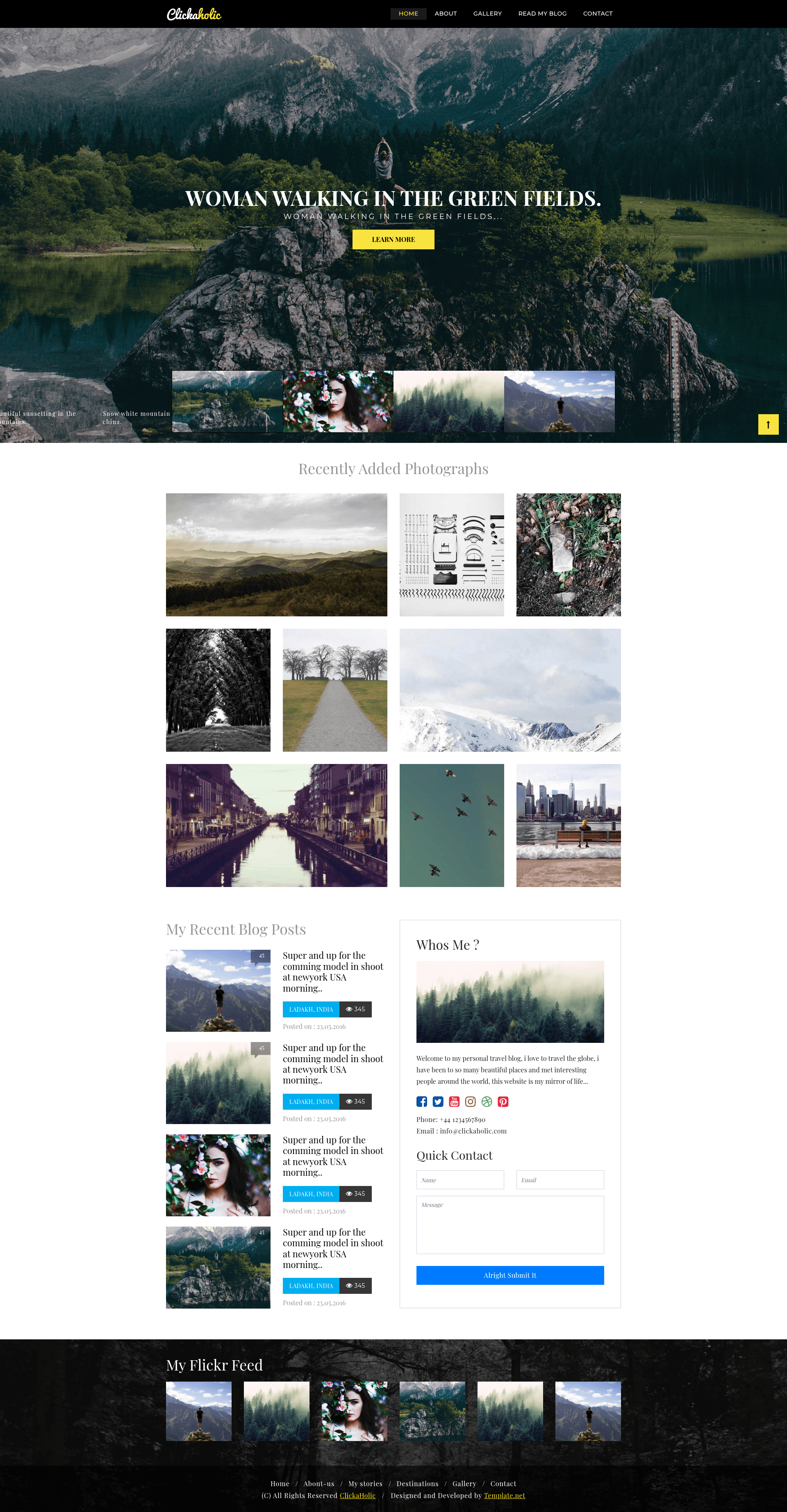 screenshot of Clickaholic on template0.com