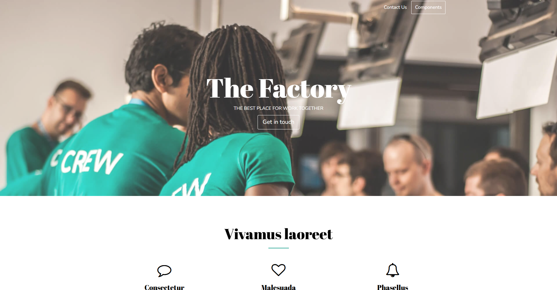 Factory preview