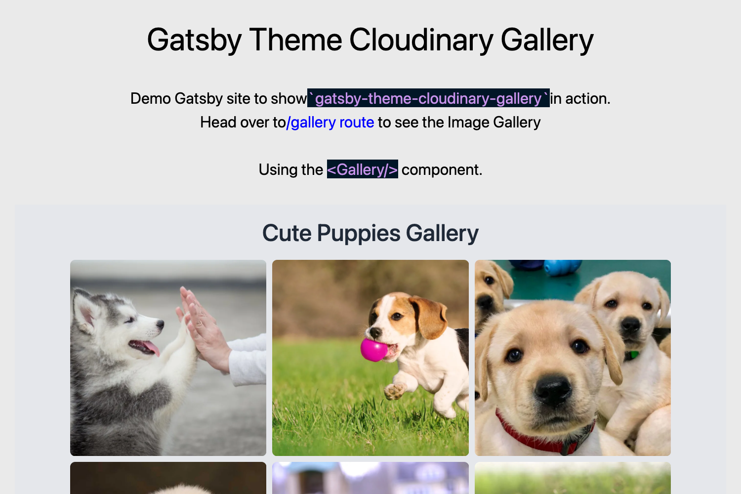 Gatsby Theme Cloudinary Gallery preview