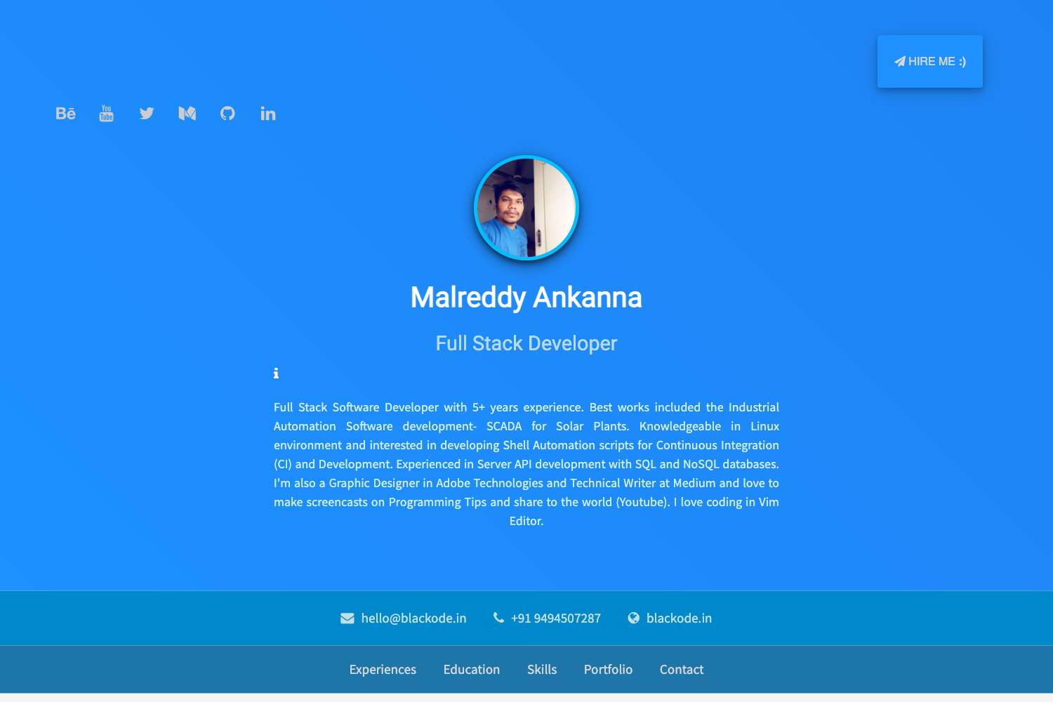 Programmers Online Resume Template preview