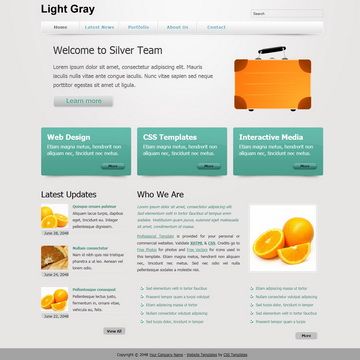 Image for Light Gray on template0.com