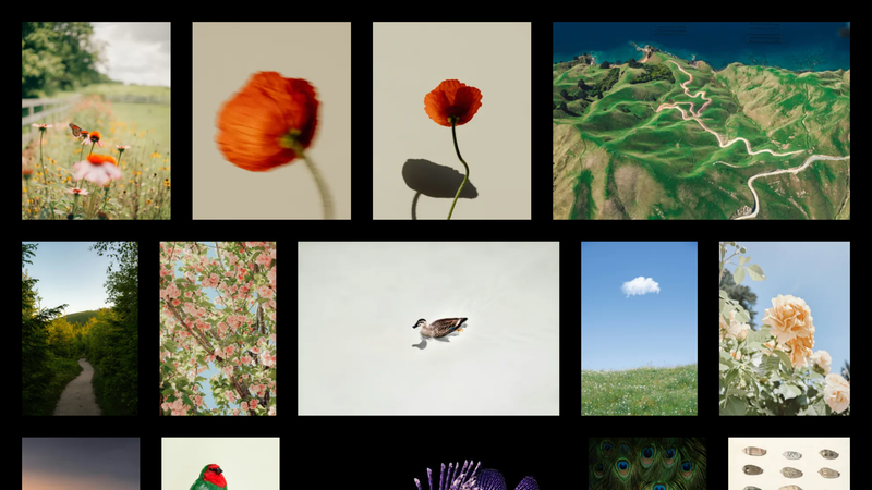 Image for Astro Photo Grid on template0.com