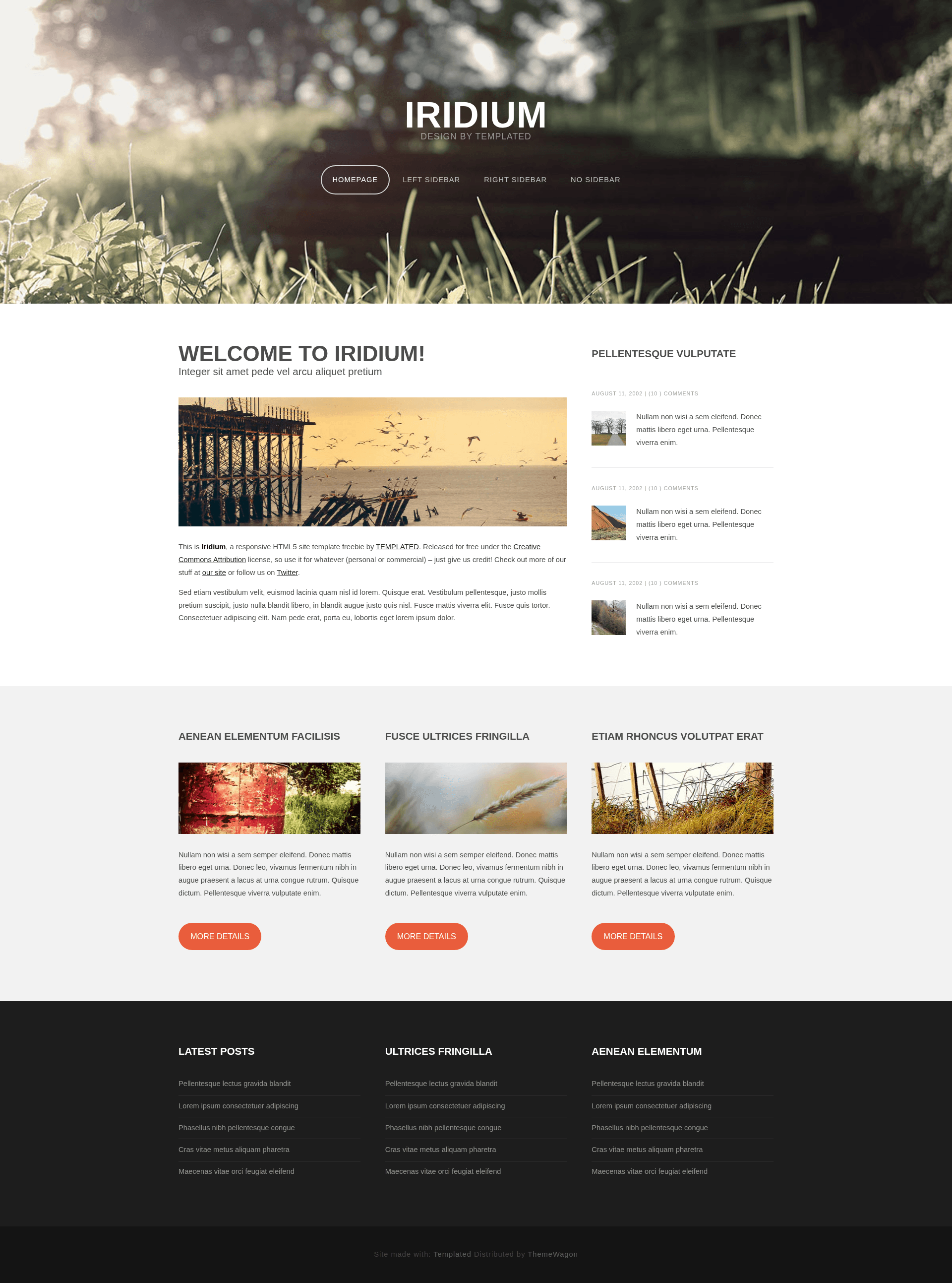 screenshot of Iridium – Free HTML5 & CSS3 Landing Page Template on template0.com