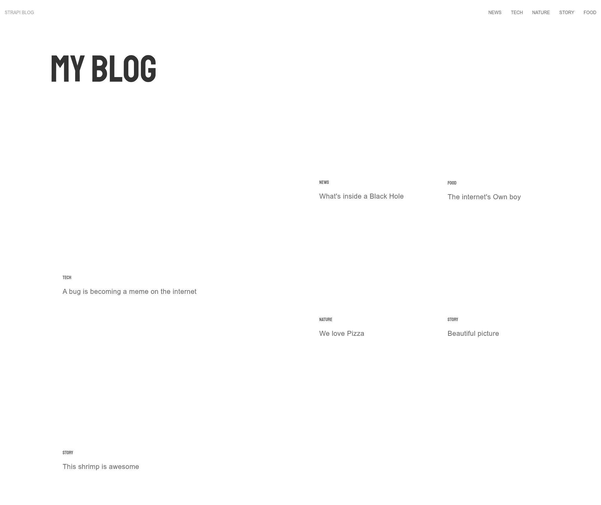 screenshot of Strapi Starter Next Blog on template0.com